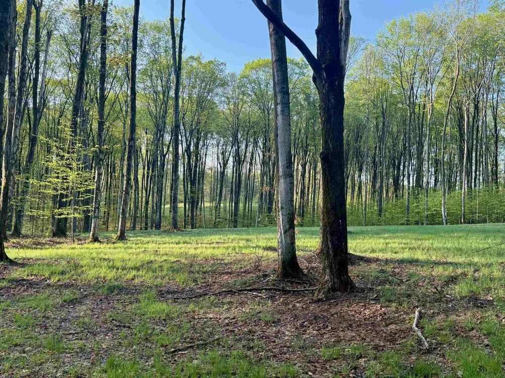 2 S Bright Road Kasson Township, MI 49664