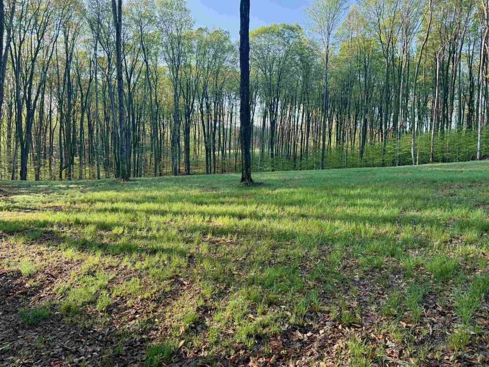 2 S Bright Road Kasson Township, MI 49664