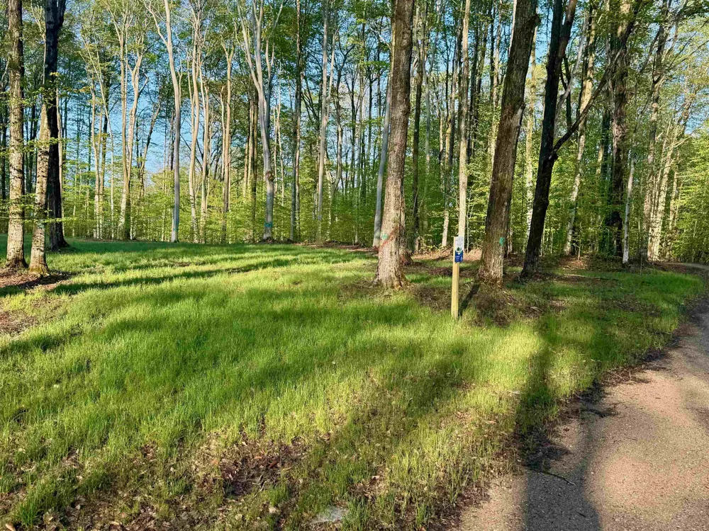 2 S Bright Road Kasson Township, MI 49664