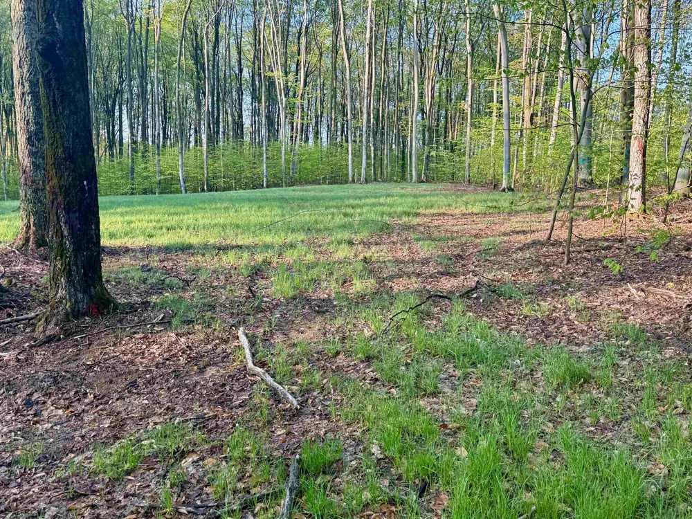 2 S Bright Road Kasson Township, MI 49664