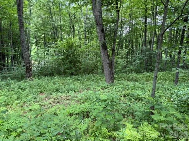 Lot 36 Odalu Trail #36 Maggie Valley, NC 28751