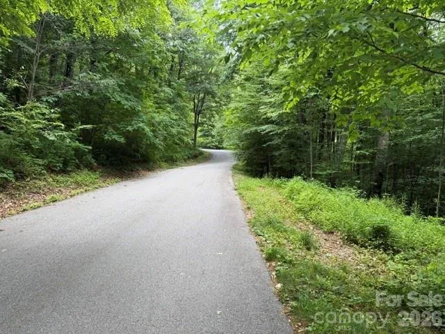 Lot 36 Odalu Trail #36 Maggie Valley, NC 28751