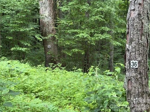 Lot 36 Odalu Trail #36 Maggie Valley, NC 28751
