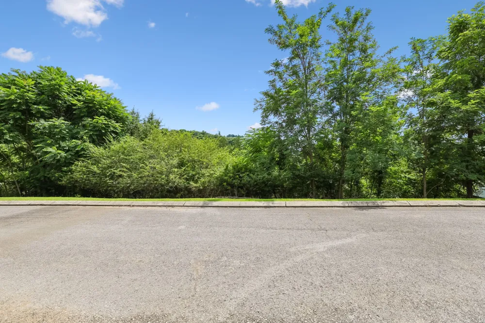 0 Sandgate Drive Smithville, TN 37166