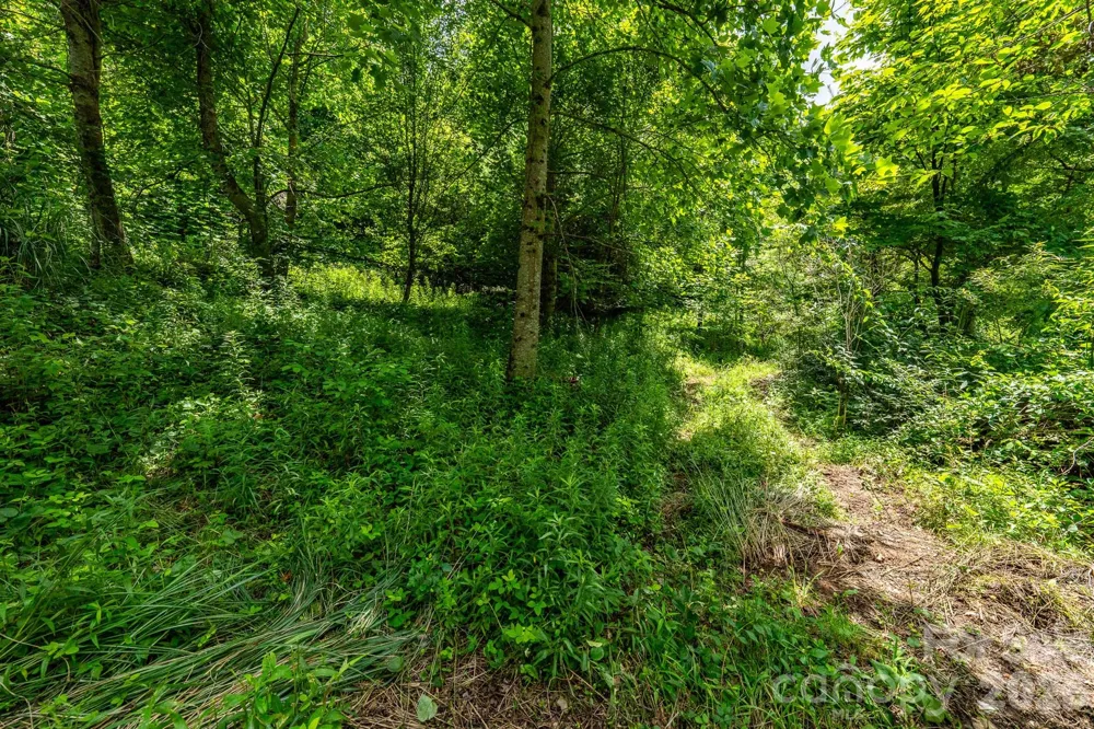 789 Jarrett Cove Road Marshall, NC 28753