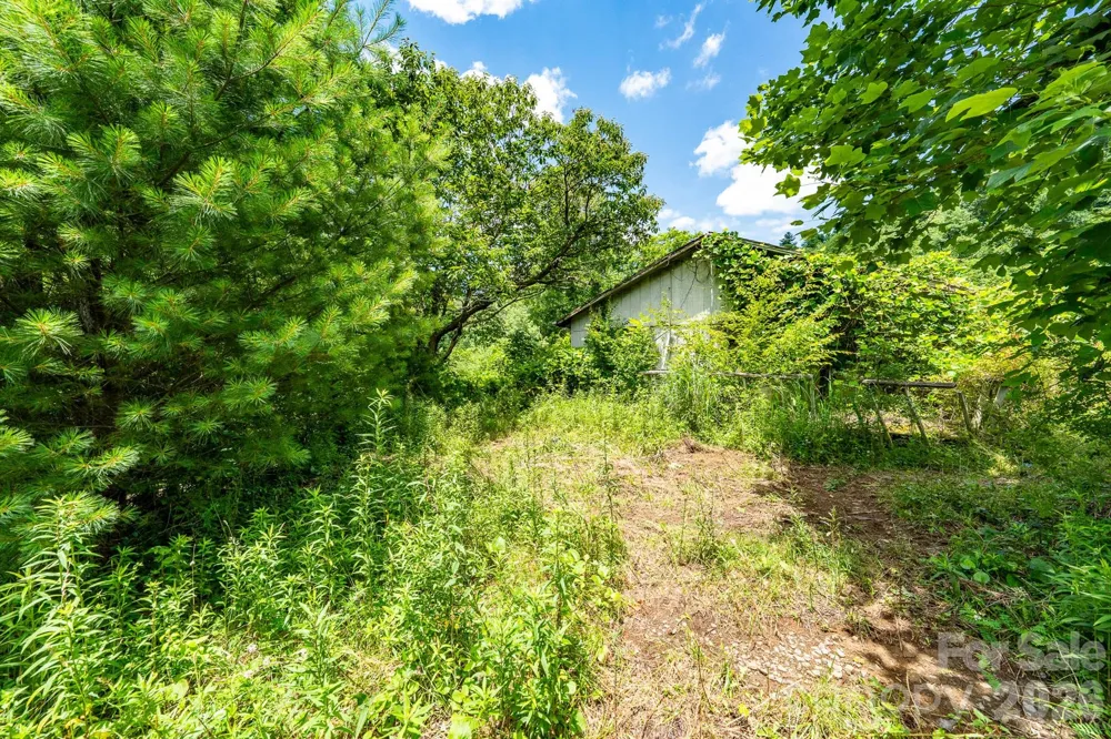 789 Jarrett Cove Road Marshall, NC 28753