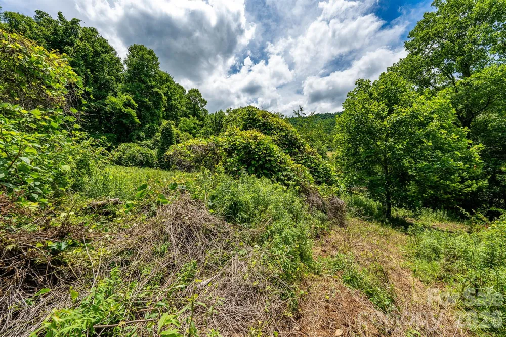 789 Jarrett Cove Road Marshall, NC 28753