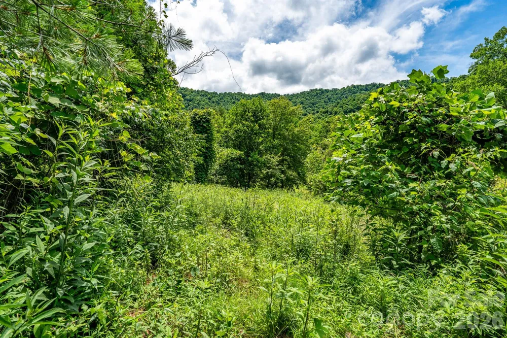 789 Jarrett Cove Road Marshall, NC 28753
