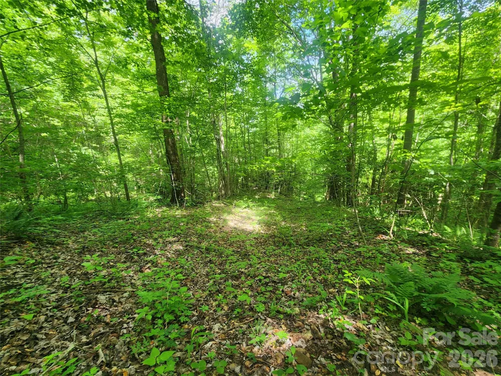 789 Jarrett Cove Road Marshall, NC 28753