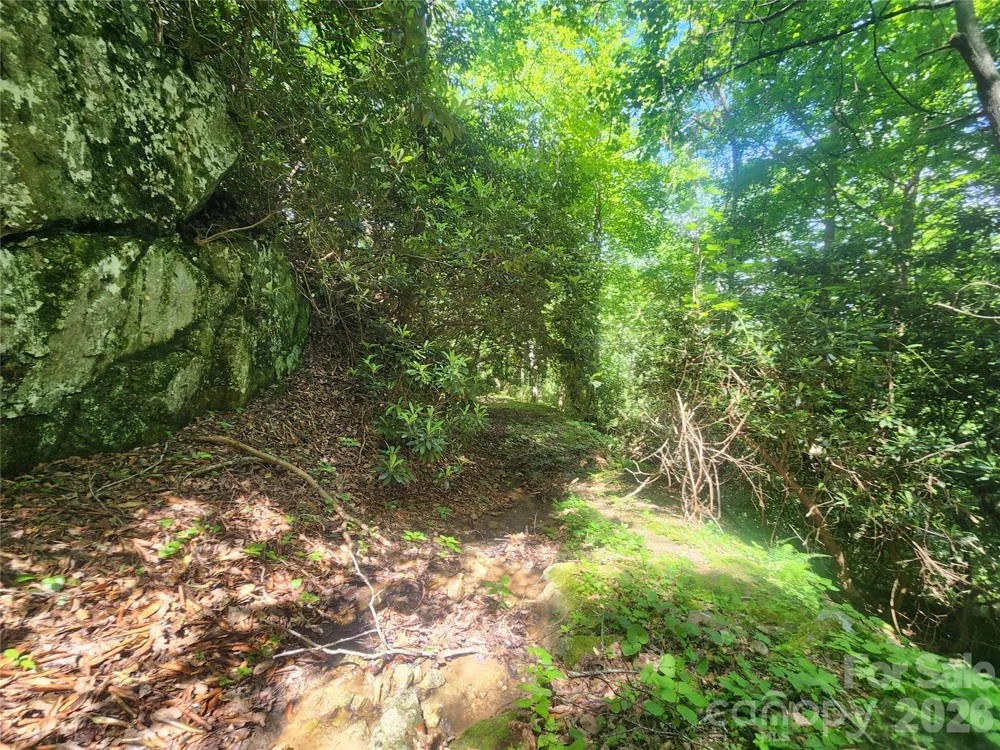789 Jarrett Cove Road Marshall, NC 28753