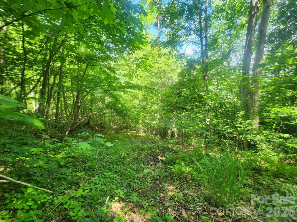 789 Jarrett Cove Road Marshall, NC 28753