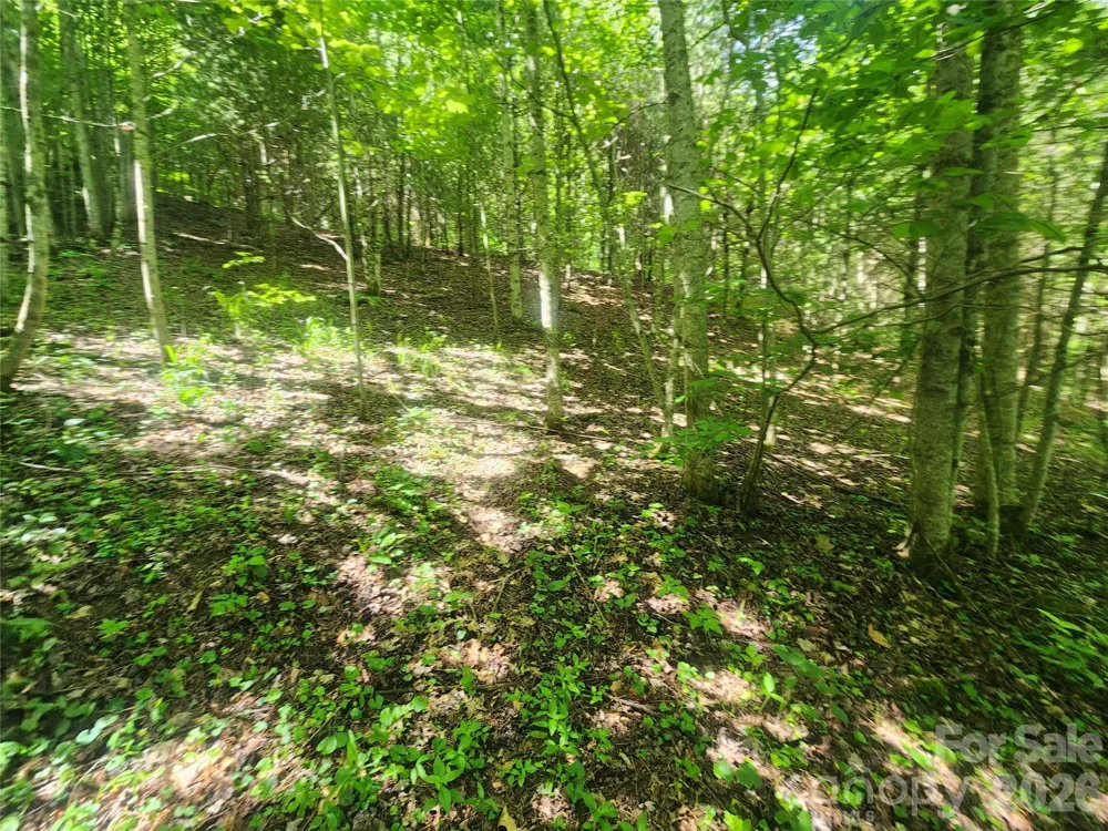 789 Jarrett Cove Road Marshall, NC 28753