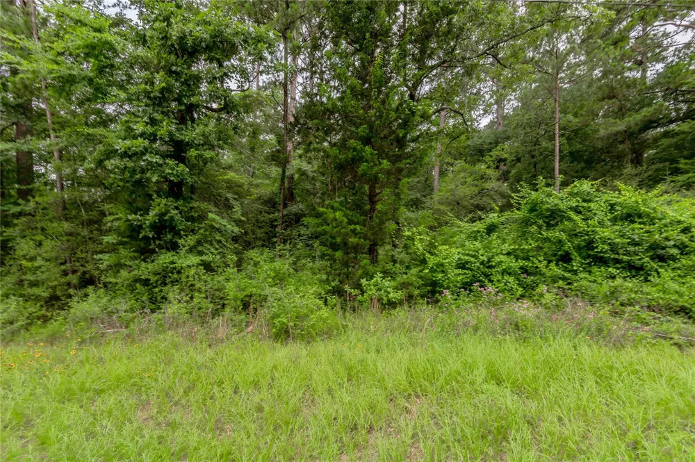 55 Post Oak Circle Trinity, TX 75862