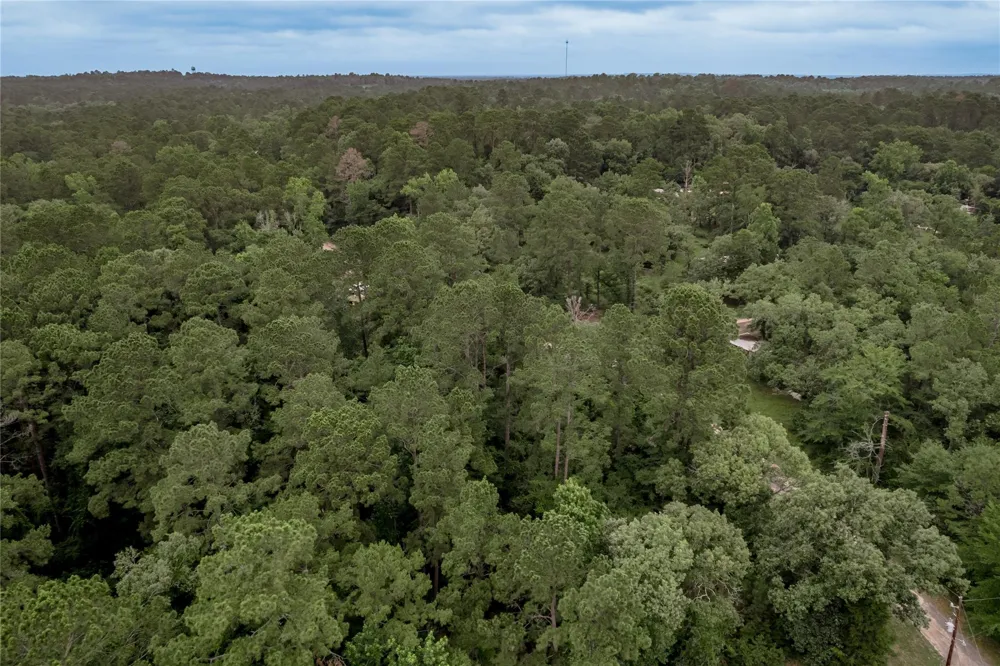 55 Post Oak Circle Trinity, TX 75862