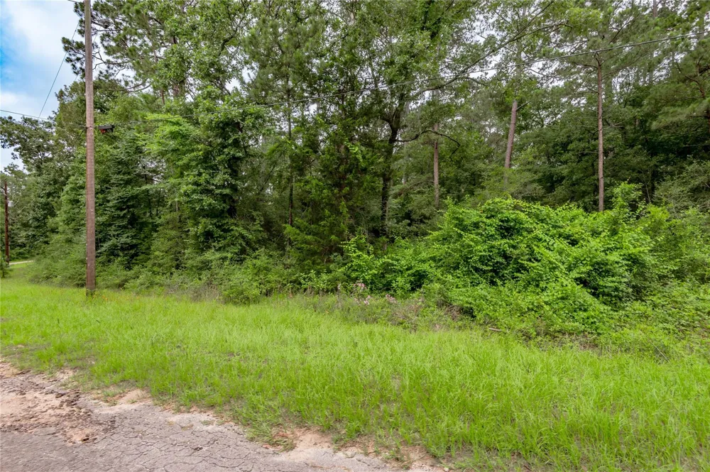 55 Post Oak Circle Trinity, TX 75862