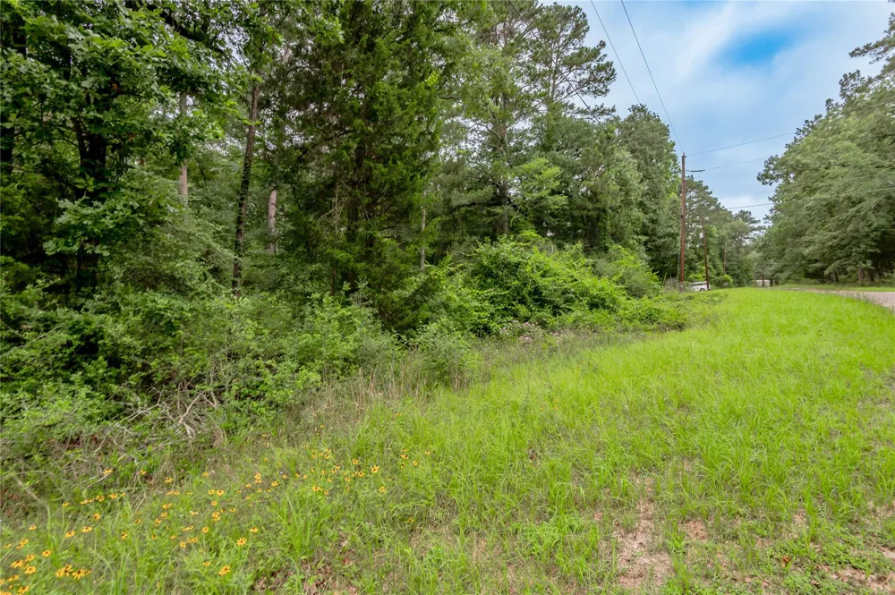 55 Post Oak Circle Trinity, TX 75862