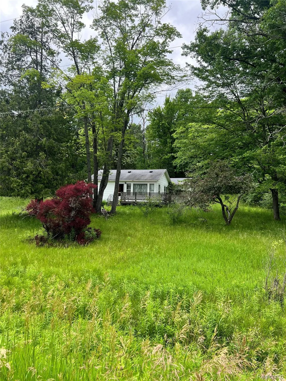 4382 F 30 ROAD Curtis Township, MI 48737
