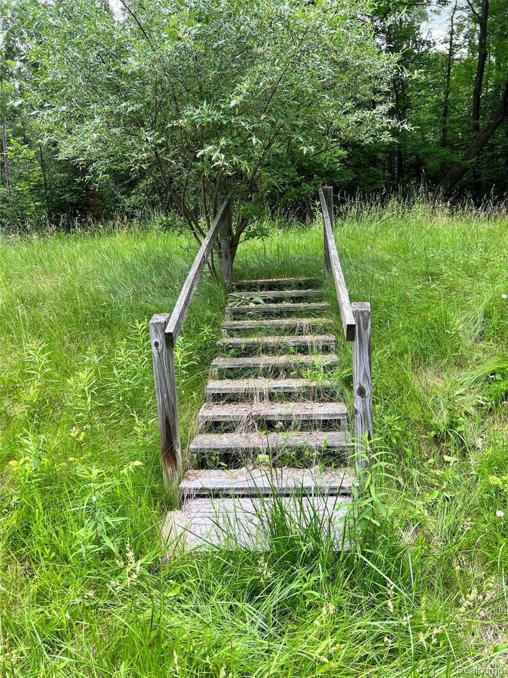 4382 F 30 ROAD Curtis Township, MI 48737