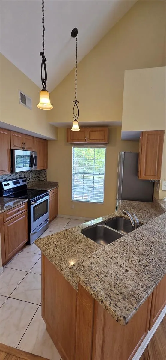 9306 LAKE CHASE ISLAND WAY Tampa, FL 33626