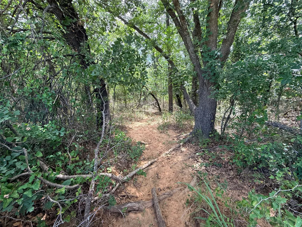 719 County Road 193 Comanche, TX 76442