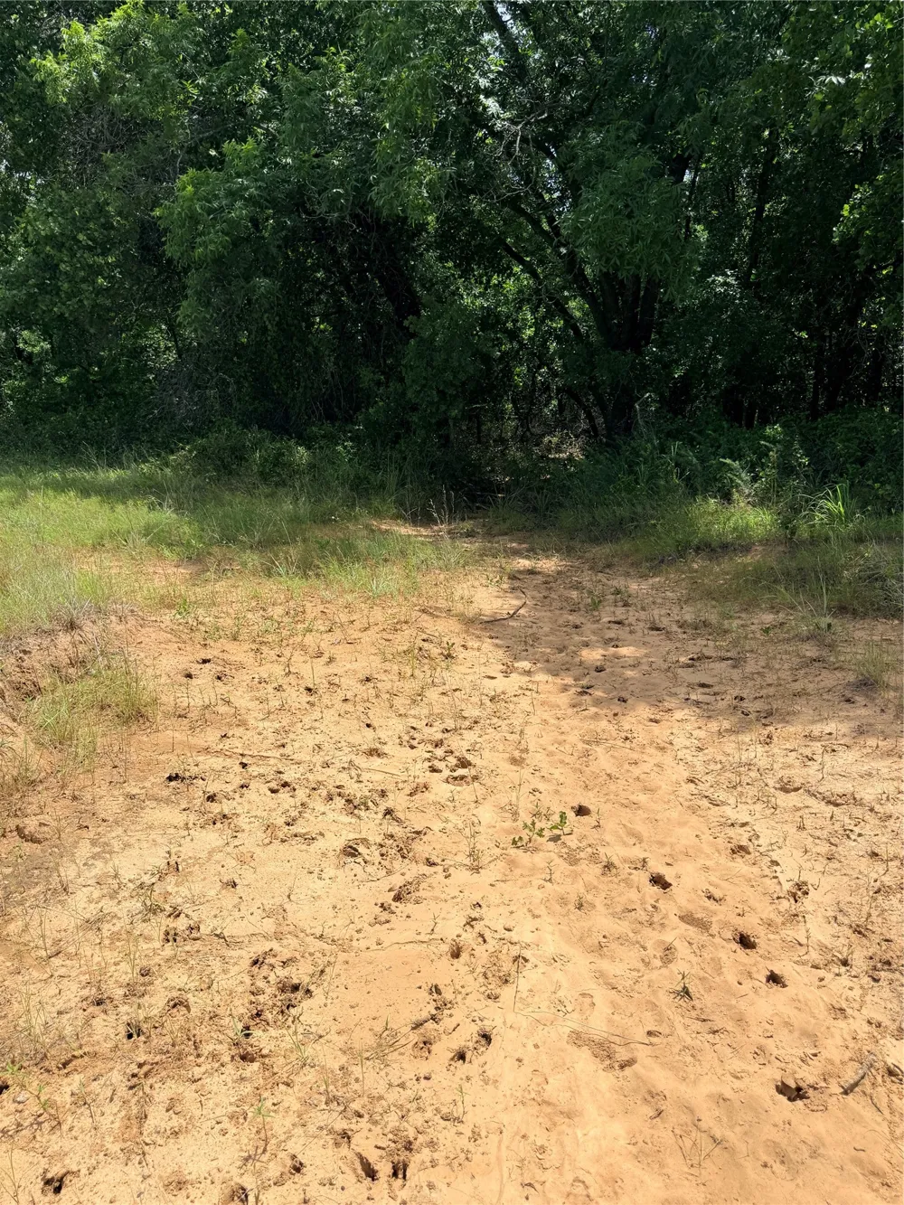 719 County Road 193 Comanche, TX 76442