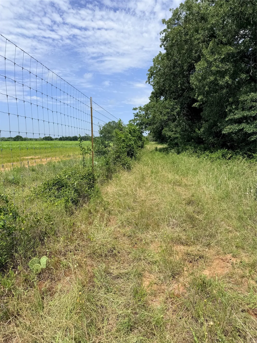 719 County Road 193 Comanche, TX 76442