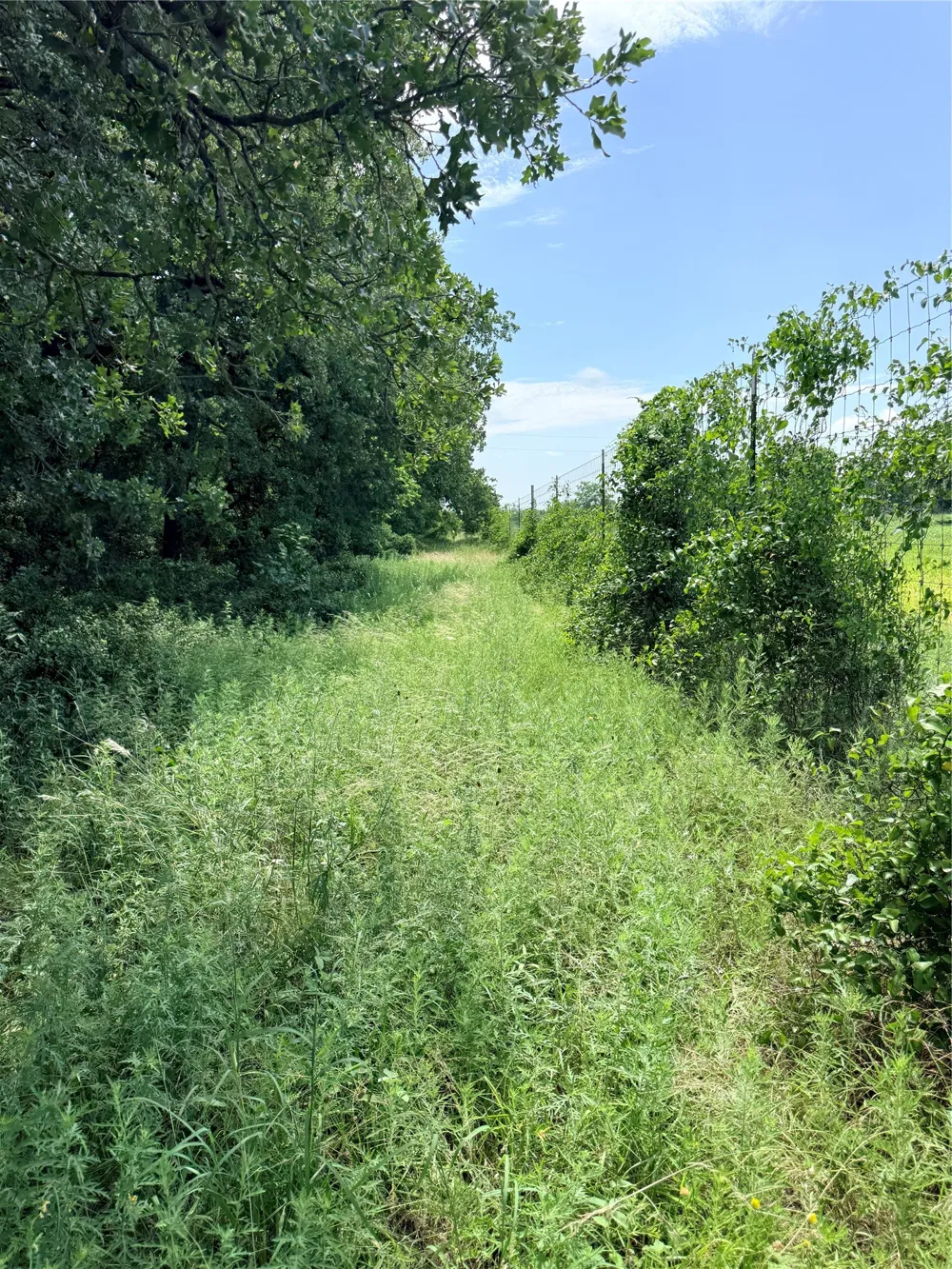 719 County Road 193 Comanche, TX 76442