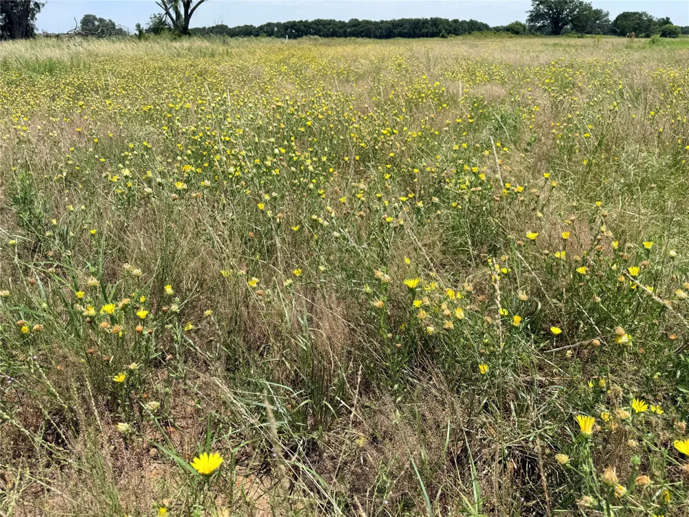 719 County Road 193 Comanche, TX 76442