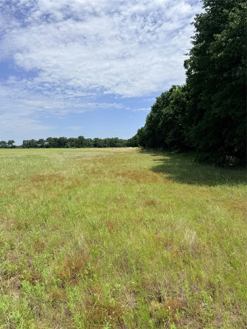 719 County Road 193 Comanche, TX 76442