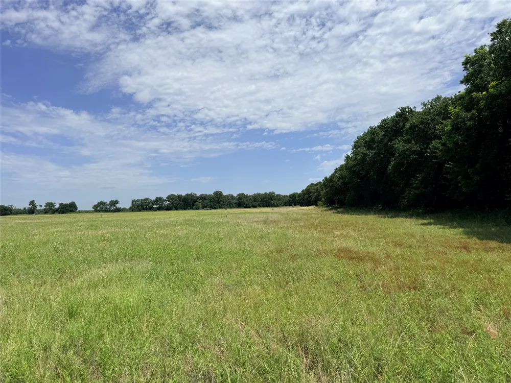 719 County Road 193 Comanche, TX 76442