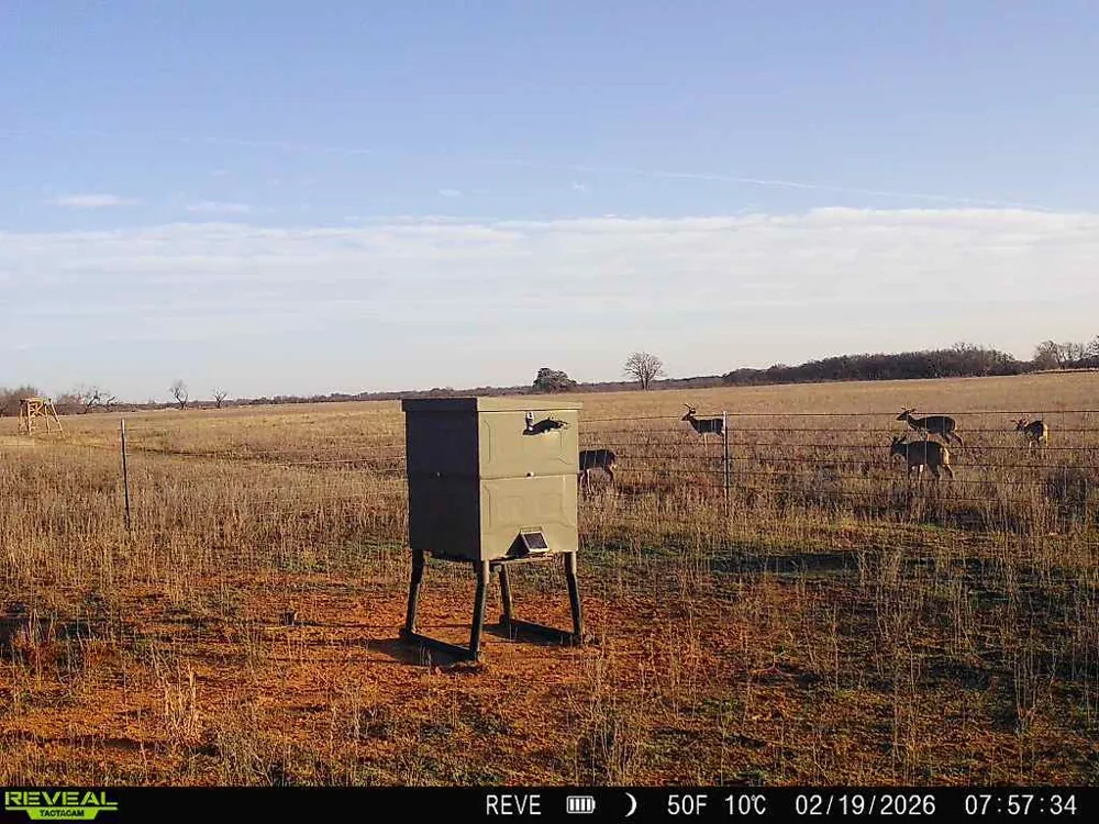 719 County Road 193 Comanche, TX 76442