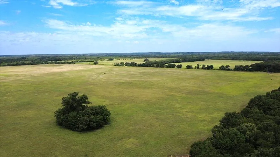 719 County Road 193 Comanche, TX 76442