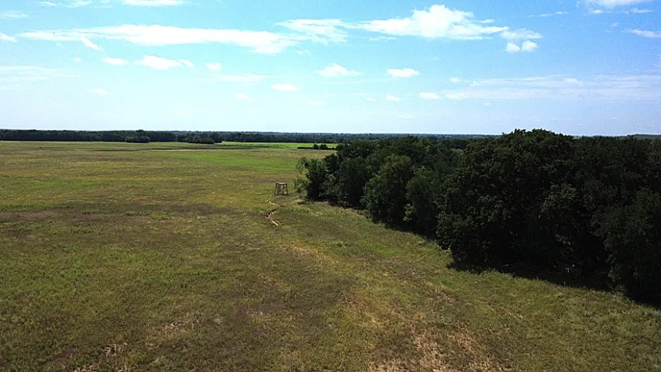 719 County Road 193 Comanche, TX 76442