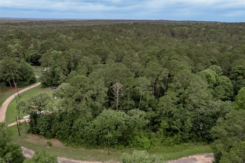 56 Post Oak Circle Trinity, TX 75862