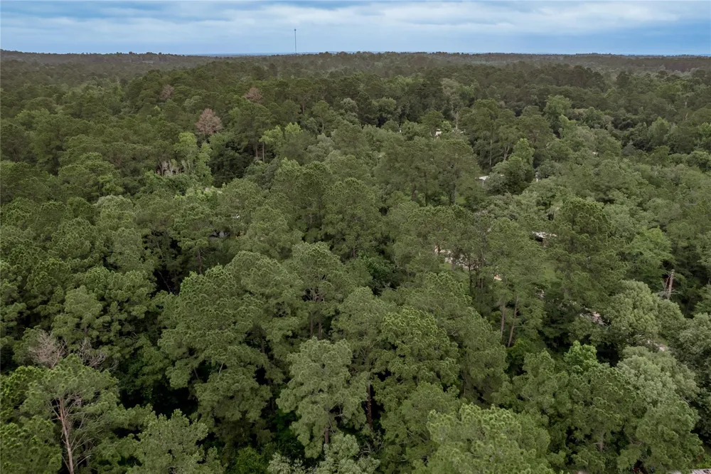 56 Post Oak Circle Trinity, TX 75862