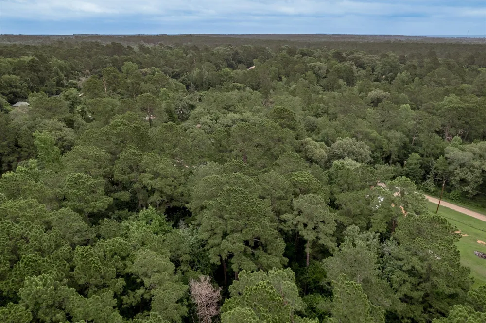 56 Post Oak Circle Trinity, TX 75862