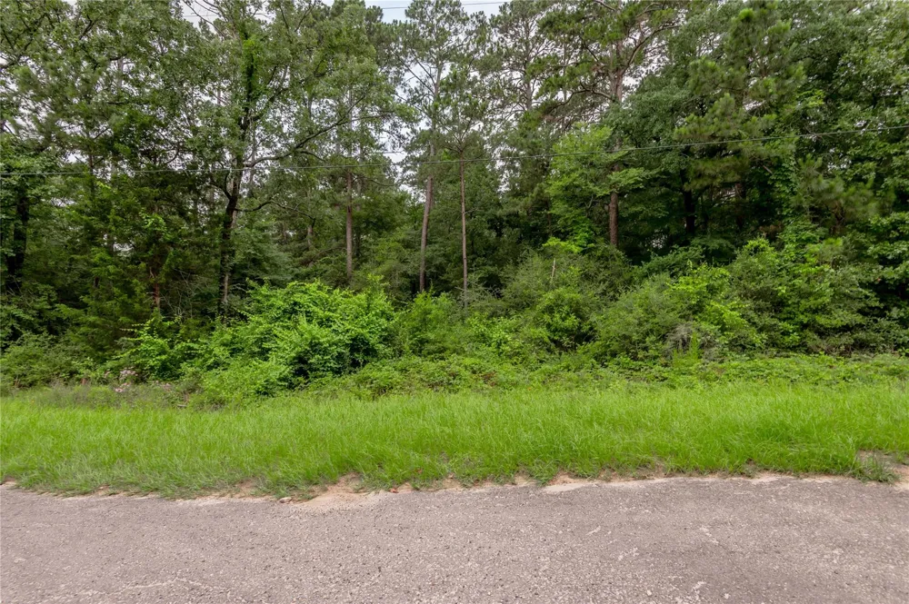 56 Post Oak Circle Trinity, TX 75862