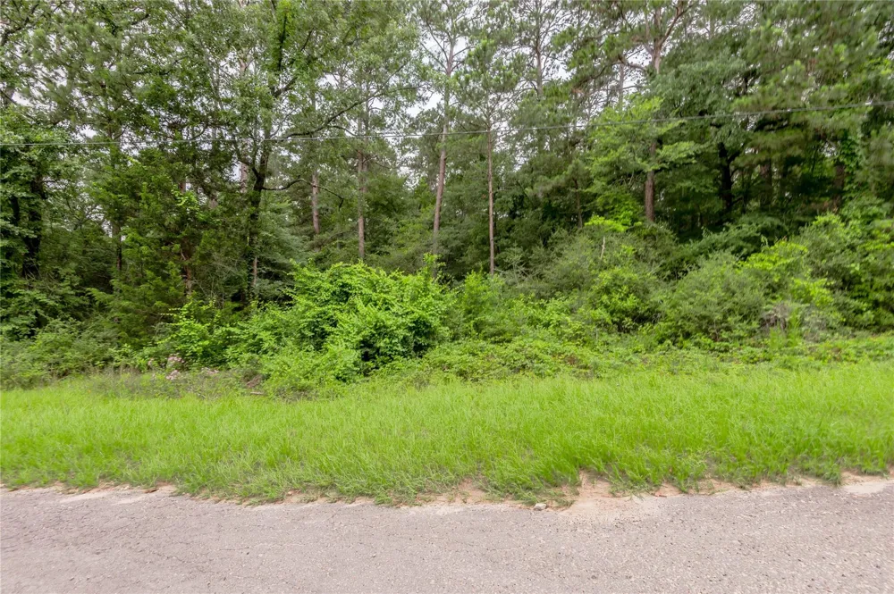 56 Post Oak Circle Trinity, TX 75862