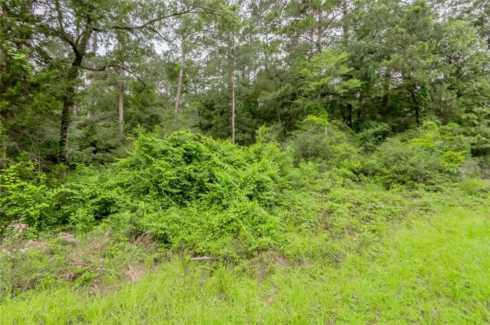 56 Post Oak Circle Trinity, TX 75862