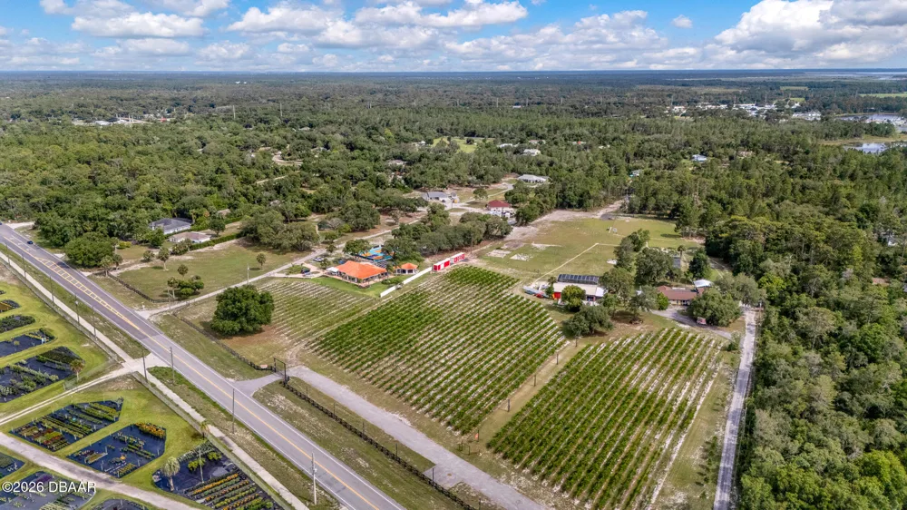 3078 Blue Bonnet Lane Osteen, FL 32764