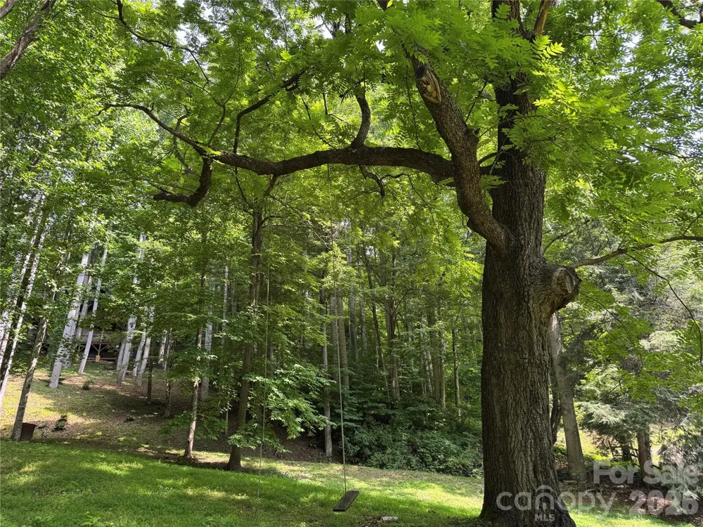 LT 18 Silverbell Lane #18 Waynesville, NC 28786
