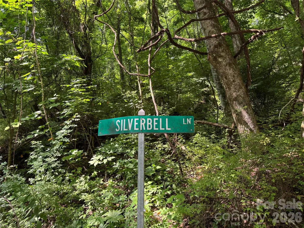 LT 18 Silverbell Lane #18 Waynesville, NC 28786