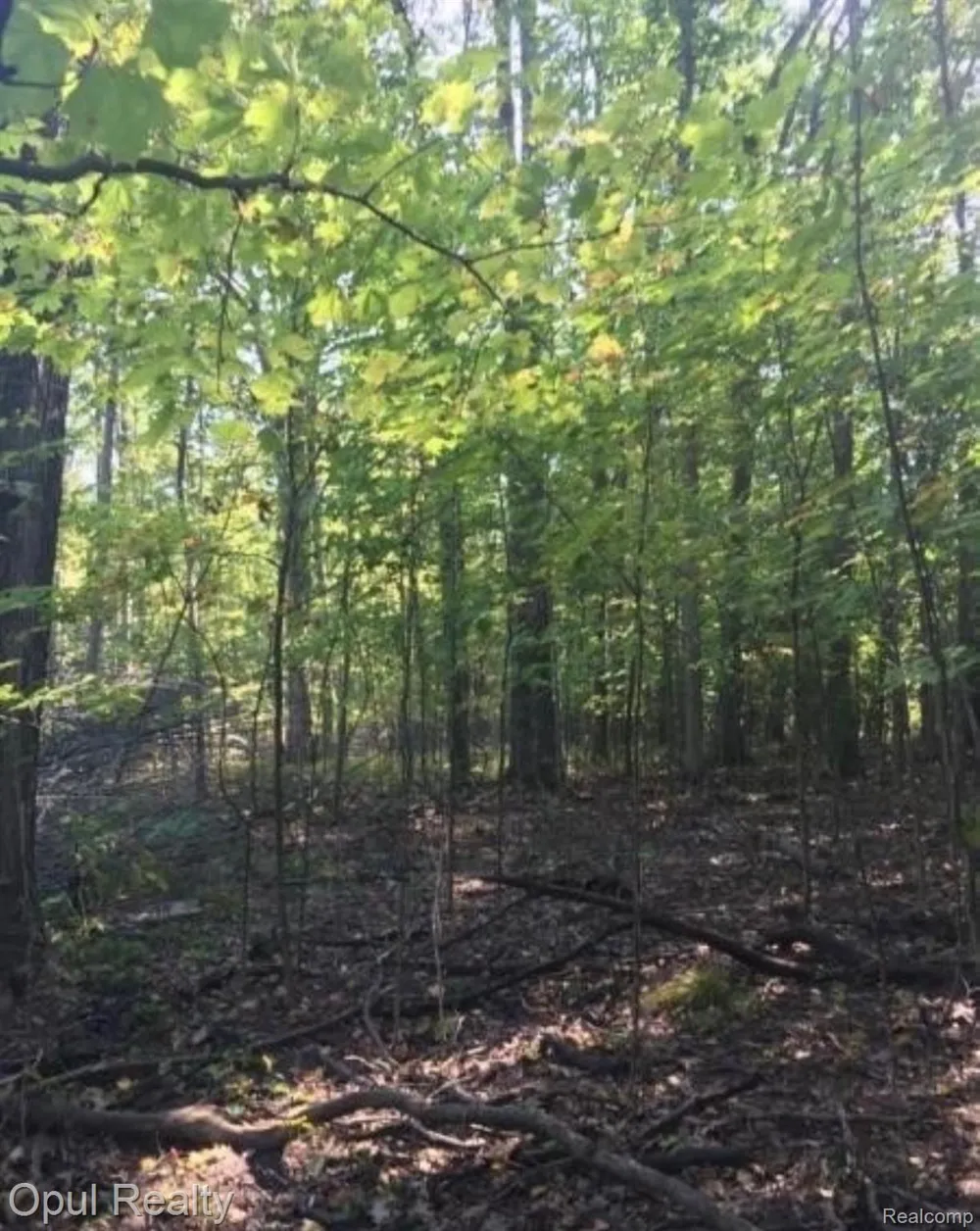 7503 Reading Road Jefferson Township, MI 49271