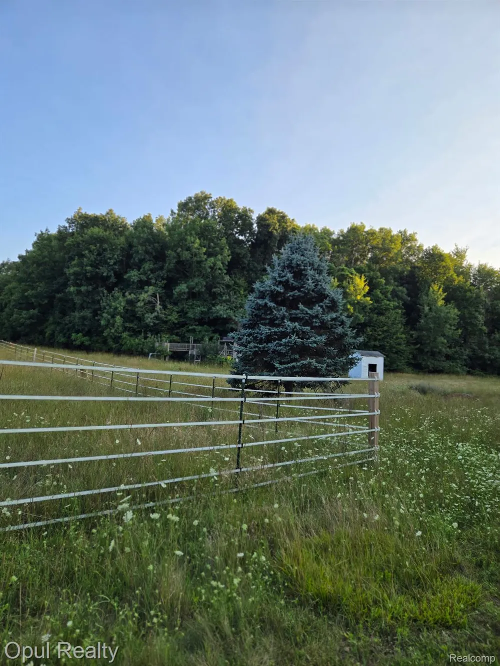 7503 Reading Road Jefferson Township, MI 49271