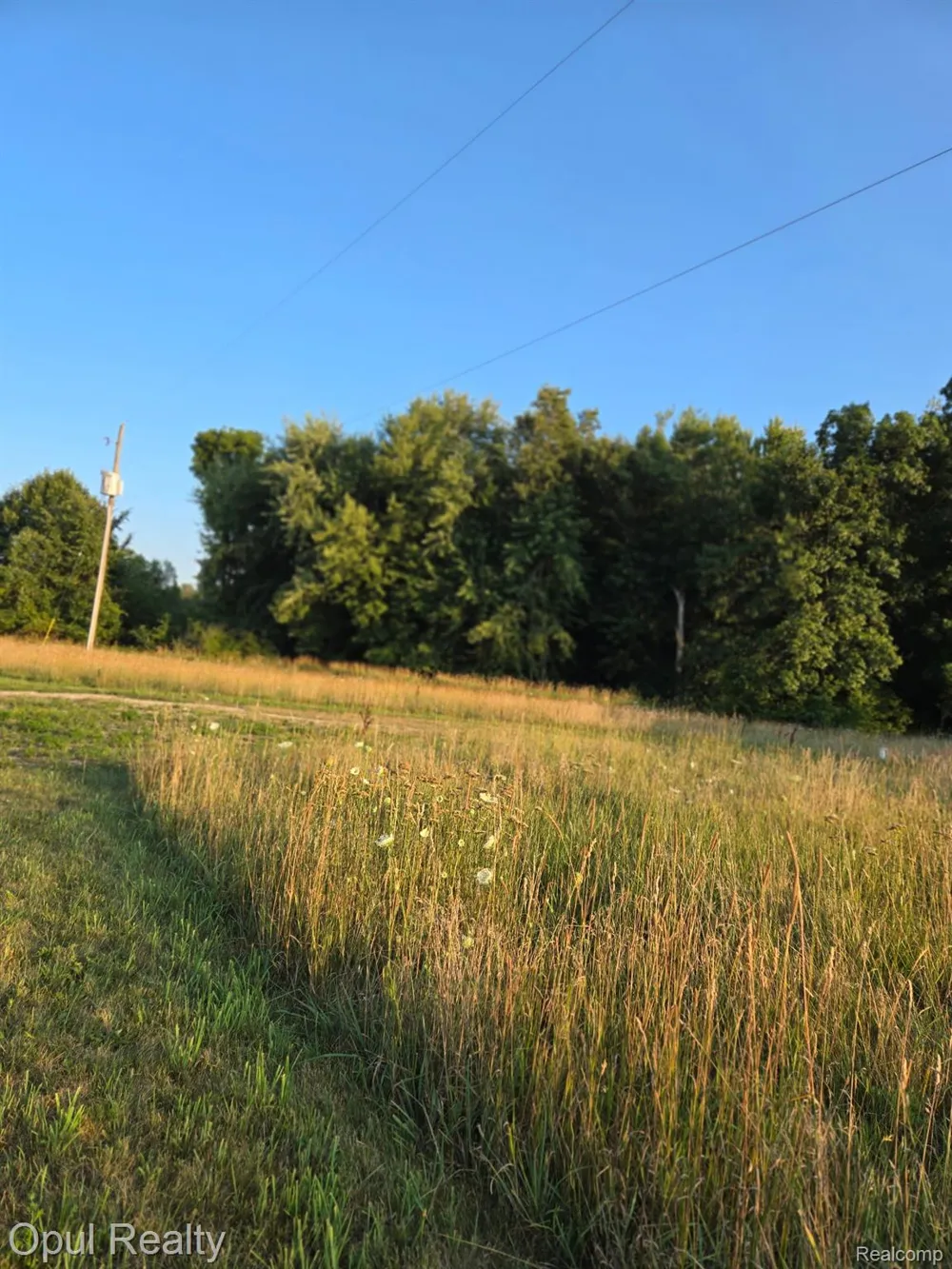 7503 Reading Road Jefferson Township, MI 49271