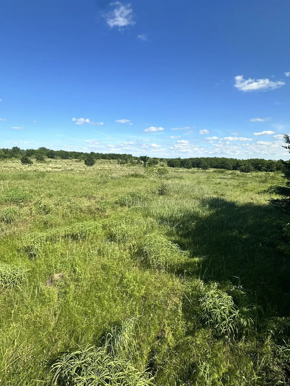 County Road 410 Callisburg, TX 76240