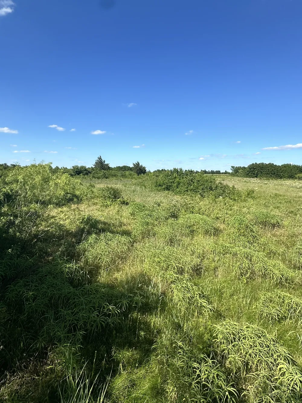 County Road 410 Callisburg, TX 76240
