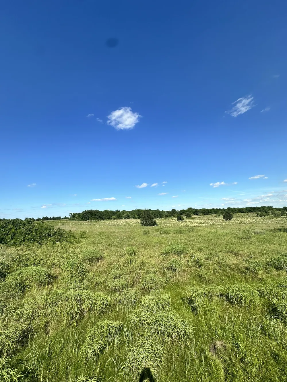County Road 410 Callisburg, TX 76240