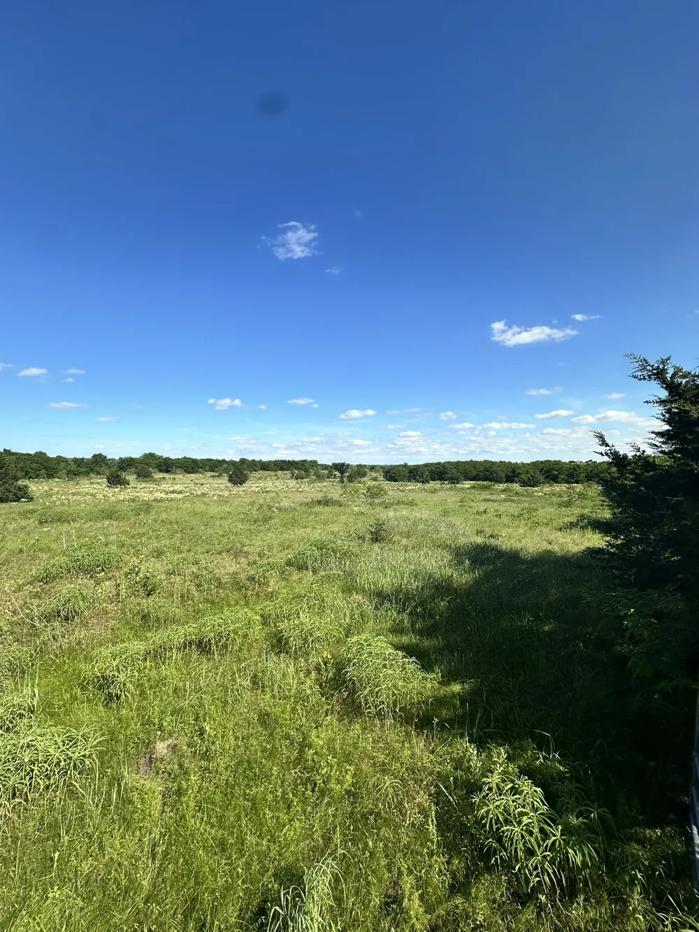 County Road 410 Callisburg, TX 76240