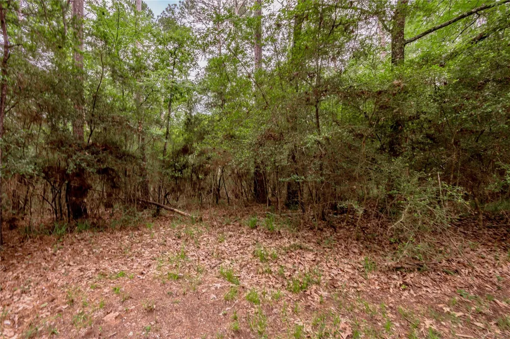 9 Rohm Place Huntsville, TX 77320